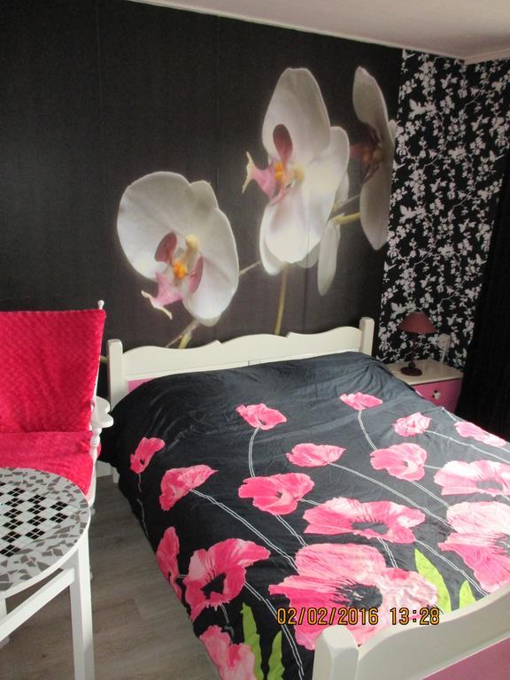 De Weg Naar Het Strand Bed & Breakfast Egmond aan Zee Ngoại thất bức ảnh