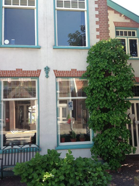 De Weg Naar Het Strand Bed & Breakfast Egmond aan Zee Ngoại thất bức ảnh